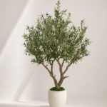 Olive tree 210cm
