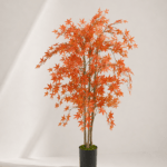 Mapple tree 120cm