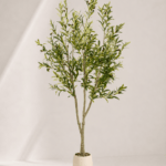 Olive tree 180cm