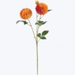 Dahlia 23 × 23 × 76 cm - Oranje
