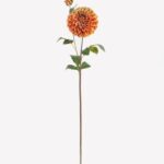 Dahlia 13 × 13 × 81 cm - Oranje