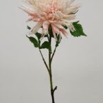 Chrysanthemum 78 × 11 cm - Roze