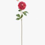 Dahlia 13 × 13 × 81 cm - Roze