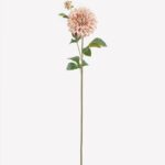 Dahlia 13 × 13 × 81 cm - Lichtroze