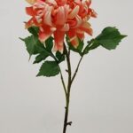 Chrysanthemum 78 × 11 cm - Oranje
