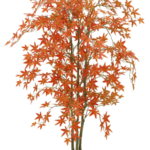 Mapple tree 120cm