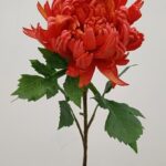 Chrysanthemum 78 × 11 cm - Rood