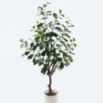 Ficus tree 50*50*115cm