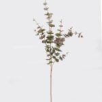Eucalyptus 18 × 18 × 98 cm - Paars/groen