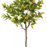 Orange tree 70*70*150cm