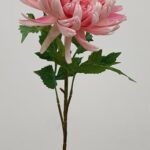 Chrysanthemum 78 × 11 cm - Roze
