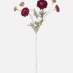 Japanese peony 20 × 20 × 67 cm - Wijnrood