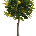 Lemon tree pot/13 fruit 38*38*90cm