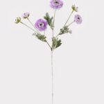 Japanese peony 20 × 20 × 67 cm - Paars