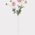 Japanese peony 20 × 20 × 67 cm - Lichtroze