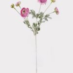 Japanese peony 20 × 20 × 67 cm - Roze