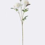 Dahlia 23 × 23 × 76 cm - Wit