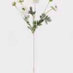 Japanese peony 20 × 20 × 67 cm - Crème