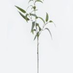 Leaf 94 cm - Groen