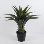 Potted Tree 65*57CM