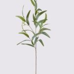 Eucalypt leaf 36 × 36 × 96 cm - Groen