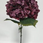 Hydrange 20 × 65 cm - Bordeaux