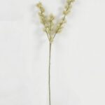 Pine needle 14 × 14 × 67 cm