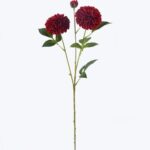 Dahlia 23 × 23 × 76 cm - Rood