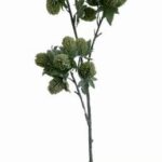 Eryngium 72 cm - Groen