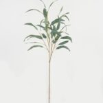 Eucalyptus Leaf 33 × 33 × 98 cm - Groen