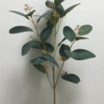 Eucalptus 68 cm - Groen