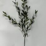 Olive Leaves 110 cm - Groen