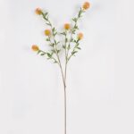 Spinulosum 40 × 40 × 96 cm - Oranjerood