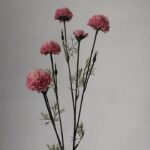 Chrysanthemum 81 × 20 cm - Roze