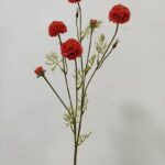 Chrysanthemum 81 × 20 cm - Rood