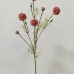 Chrysanthemum 81 × 20 cm - Lichtroze