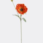 Poppy 18 × 18 × 75 cm - Oranje