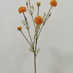 Chrysanthemum 81 × 20 cm - Oranje