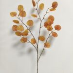 Eucalptus 92 × 35 cm - Oranje