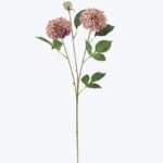 Dahlia 23 × 23 × 76 cm - Paars