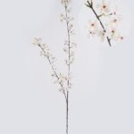Pear Flower 15 × 15 × 113 cm - Wit
