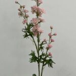 Larkspur 85 cm - Roze