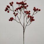 Blueberry 61 × 20 cm - Rood
