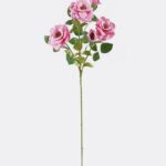 Chinese Rose (real touch) 22 × 22 × 82 cm - Lichtroze