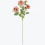 Chinese Rose (real touch) 22 × 22 × 82 cm - Koffie