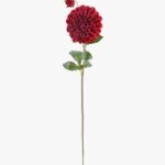 Dahlia 13 × 13 × 81 cm - Rood