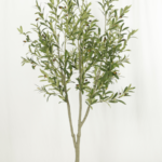 Olive tree 180cm