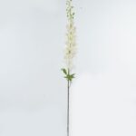 Delphinium 12 × 12 × 123 cm - Crème