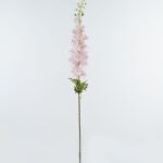Delphinium 12 × 12 × 123 cm - Roze