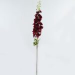 Delphinium 12 × 12 × 123 cm - Donkerrood